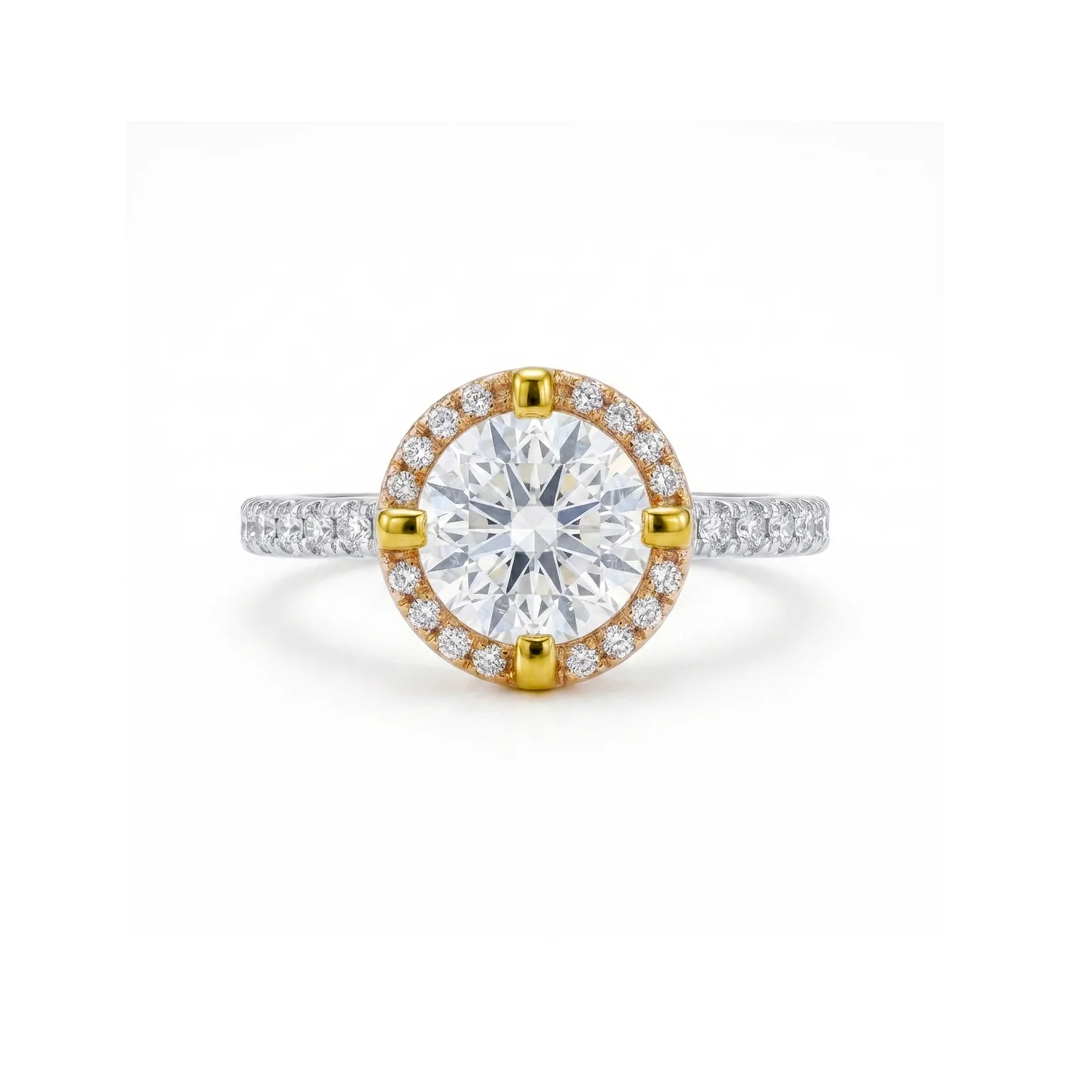 Solitaire Round Halo Ring, view 4 — House of Mina